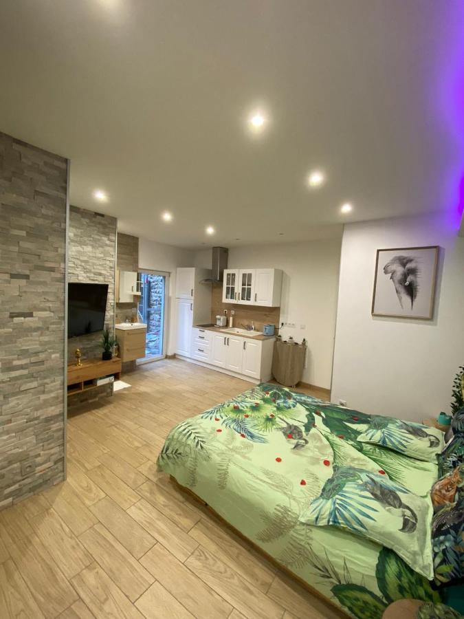 Le Menhir 2 Jacuzzi Spa Terasse Barbecue La Roche-Blanche  Εξωτερικό φωτογραφία