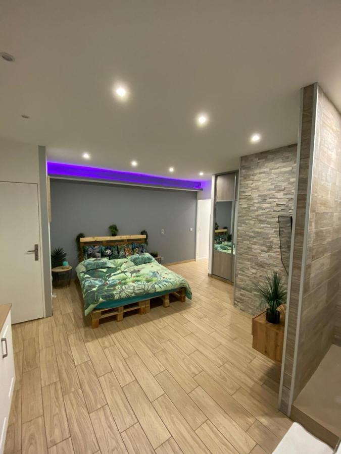 Le Menhir 2 Jacuzzi Spa Terasse Barbecue La Roche-Blanche  Εξωτερικό φωτογραφία